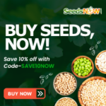 green add with seeds